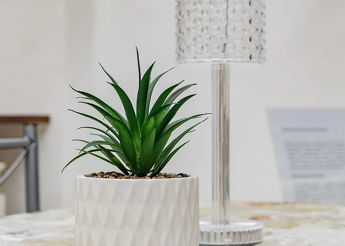 Apartamento Q1 Holiday *