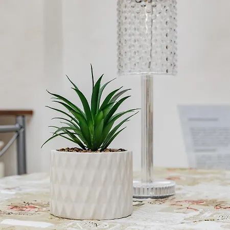 Апартаменты Q1 Holiday *